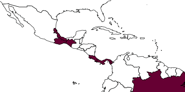 map of Enicospilus echeverri     Gauld, 1988